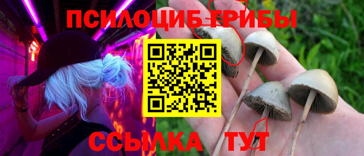 Реутов  Галлюциногенные грибы прущие грибы  Псилоцибиновые грибы ЛСД  купить   Вход с VPN 