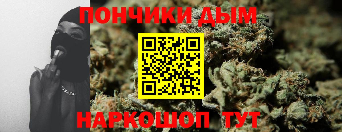 Канабис планчик Реутов